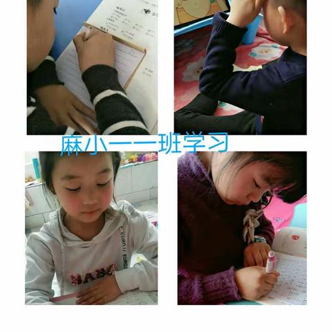 麻湾坨小学 听课不停学（4月15日）