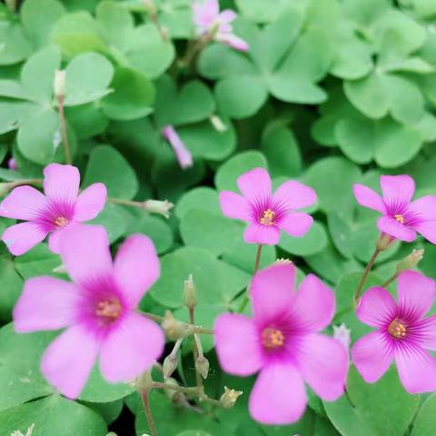 第五完全小学家访系列报道之159