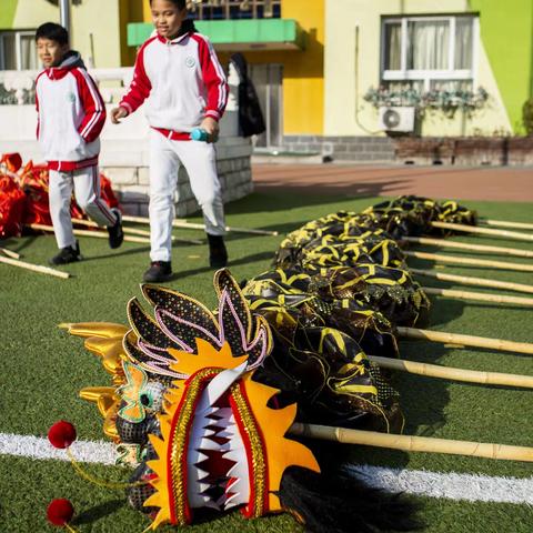 狮舞龙腾迎新年