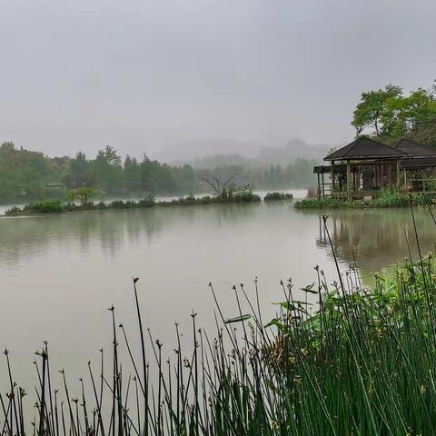 细雨霏霏观山湖