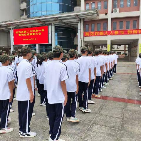 军训总结