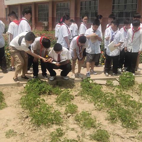 走进中草药种植基地，感受百草之美 ——范县第三小学五三班游园记