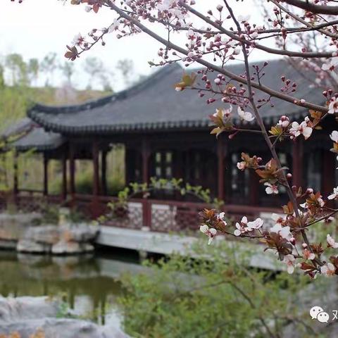 游书院 ，访圣贤，我和春天有个约会——城区六小幼儿园亲子游活动小记