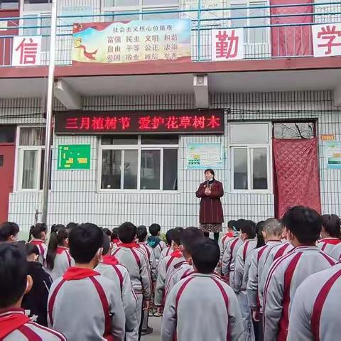 沙河市石盆小学开展植树节教育