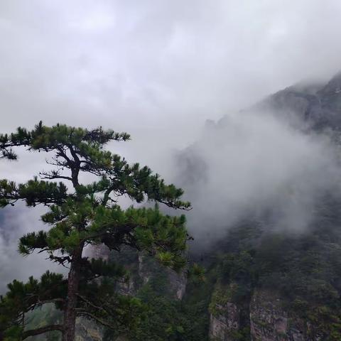 政和佛子岭~稠岭游