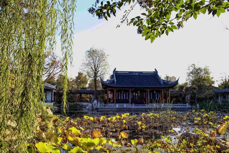 苏风京韵 —— 宛园 (山东临清)