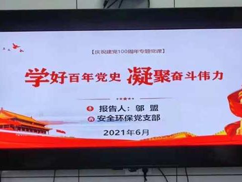 “学好百年党史，凝聚奋斗伟力”庆祝建党100周年安全环保党支部主题党日活动。