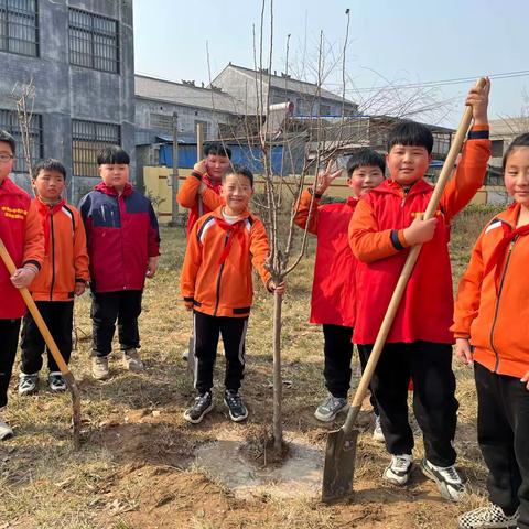 师生共植树，小树伴成长——水堡乡中心小学开展校园植树活动