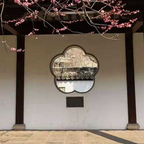 雨花台梅岗寻梅赏花