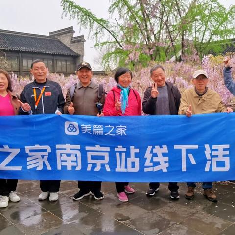 打卡老门东紫滕花和杜鹃花