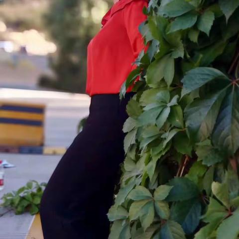 再见2018、你好2019！