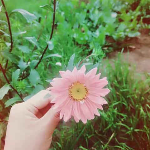 共沐书香 共同成长 建平小学 吴思雨