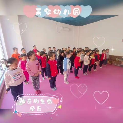 菁华幼儿园“孕妈妈”体验活动