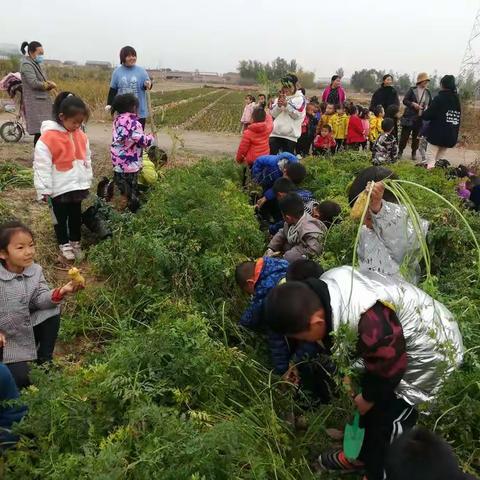 一次“特殊的”旅行一一一记城西幼儿园大班社会实践活动