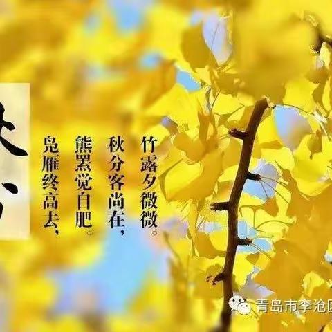 “走进秋分，秋意融融”城西幼儿园二十四节气之秋分主题活动