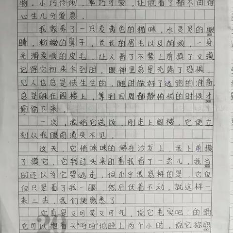 “我喜欢……”半命题作文