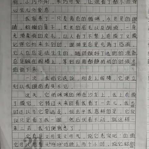 “我喜欢……”半命题作文