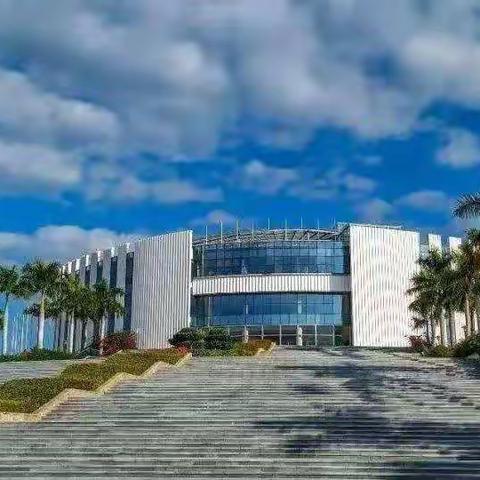 “双新”路上兴教研