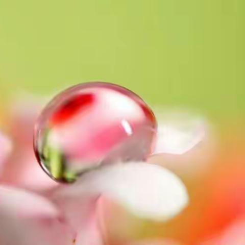 凝心聚力促教学——记2020—2021学年第二学期高一物理备课组第二周集体备课