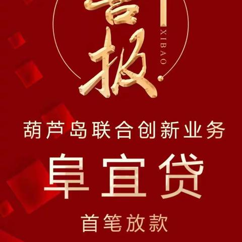 普惠阜宜贷款，助力滨城发展