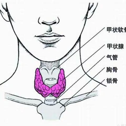 【新业务新技术】首例超声引导下甲状腺结节微波消融术在河南省人民医院豫西南分院（叶县人民医院）成功开展