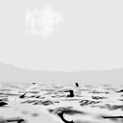 【停课不停学】走进汉字文化，遨游汉字王国……