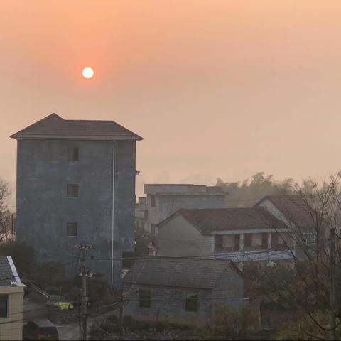 与友走四季，觅风景，录自然。（22年）