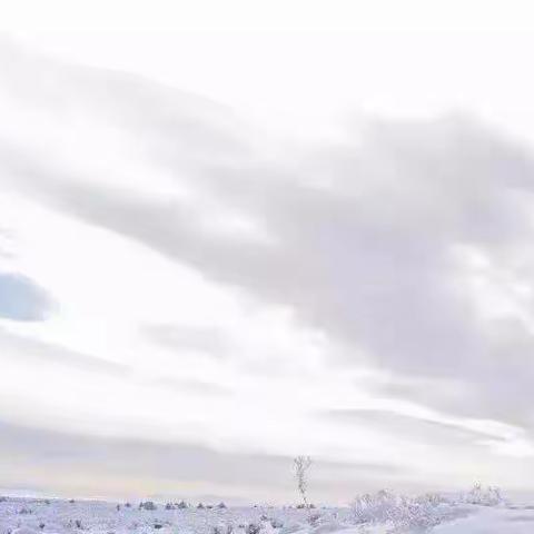 “小雪趣味多”——西安市雁塔区第十二幼儿园大二班小雪主题活动