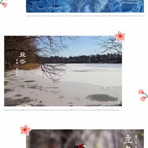 秋韵正浓时，悄然迎立冬——西安雁塔区第十二幼儿园大二班立冬节气活动