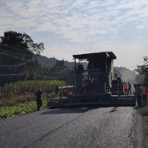 灵宝市农村公路管理所通畅公司本周工作动态