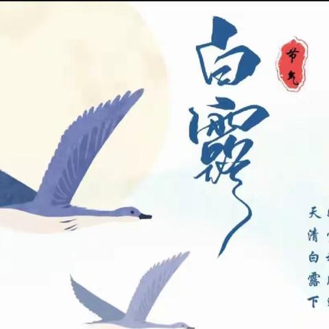 二十四节气之“白露”——杏花江南幼儿园