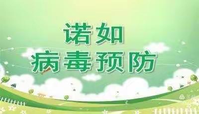 【歧坪小学附属幼儿园】防病毒 保健康——诺如病毒预防小贴士