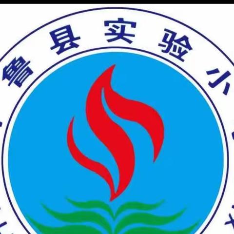 实验小学五年五班暑假阅读美篇
