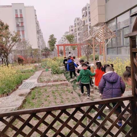 你好呀 春天🍃