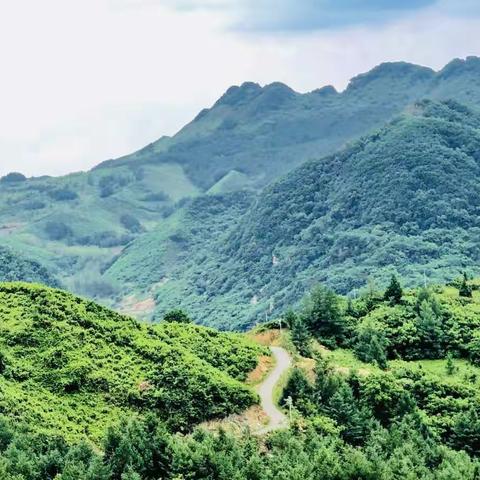 遇见——最美父女情