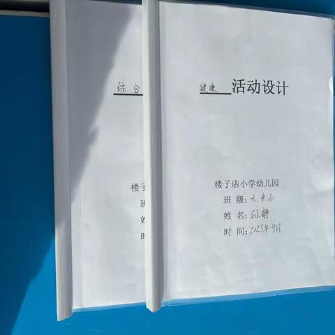 十家满族乡楼子店小学幼儿园“优秀活动设计”评选总结