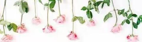 感谢师恩—鸢尾花班教师节主题活动