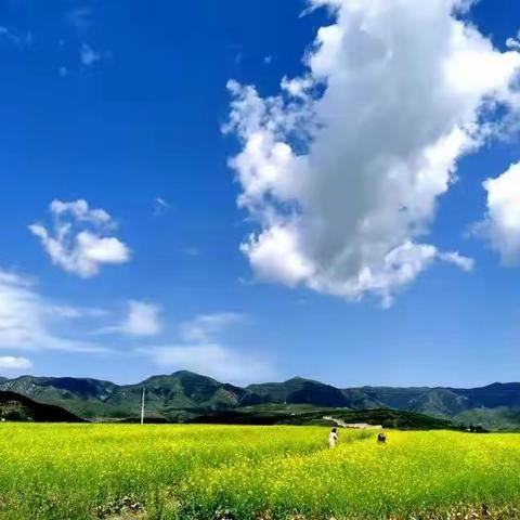 宁南山区三日游