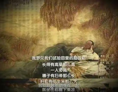 枉凝眉，几度梦中追