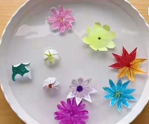 科学活动《水中花》