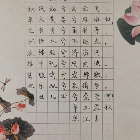 下笔有力，书写有味——金鹰小学12月青年教师优秀钢笔字作品展示