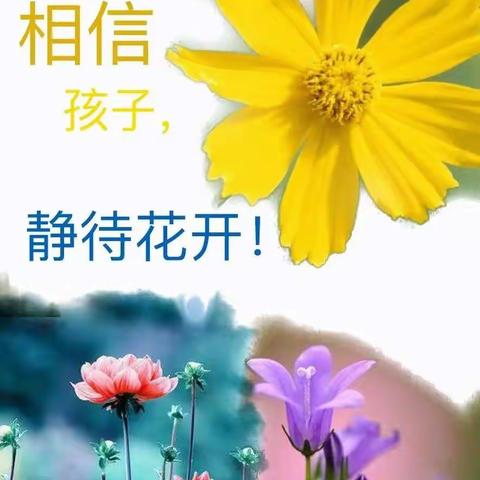 潜心育桃李，静待花开时——西韩岭学校四年级三班线上教学