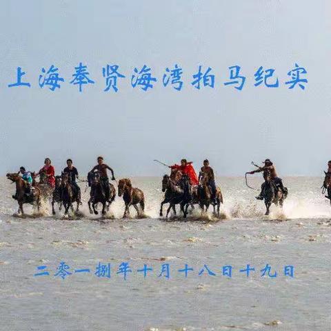 上海奉贤海湾拍马纪实