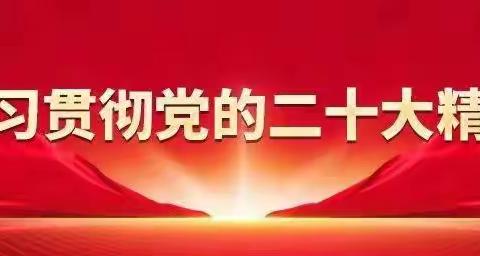 龙富村党支部召开二十大宣讲