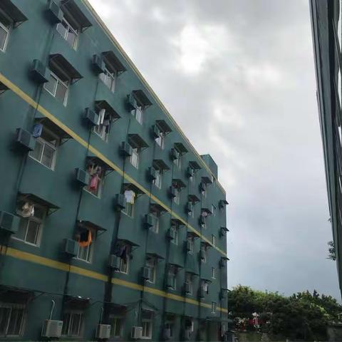 龙华中英文实验学校第四天军训纪实