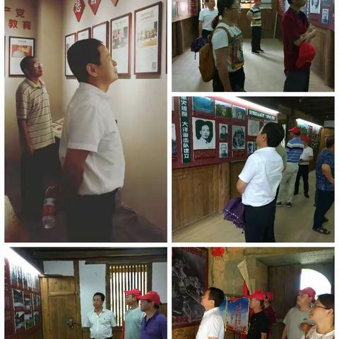 学好百年党史，汲取奋进力量                    一 一一嵩口中心小学党支部党日活动剪影