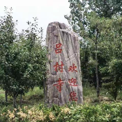 满村镇吕村寺:乡村振兴，我们在路上……