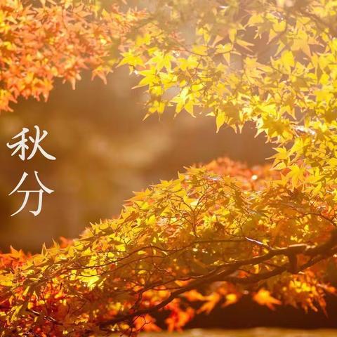 二十四节气———秋分