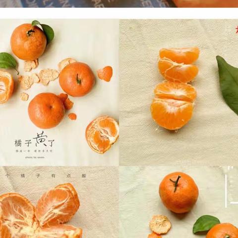“遇见橘子🍊遇见秋”——夏桥公园幼儿园小三班橘子生成课！