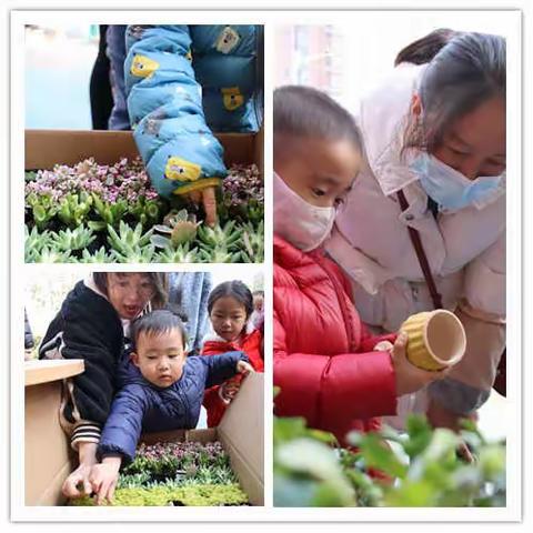 【莲湖★枣园】中心社区“童”你相伴，守护花开亲子互动种植体验活动圆满完成